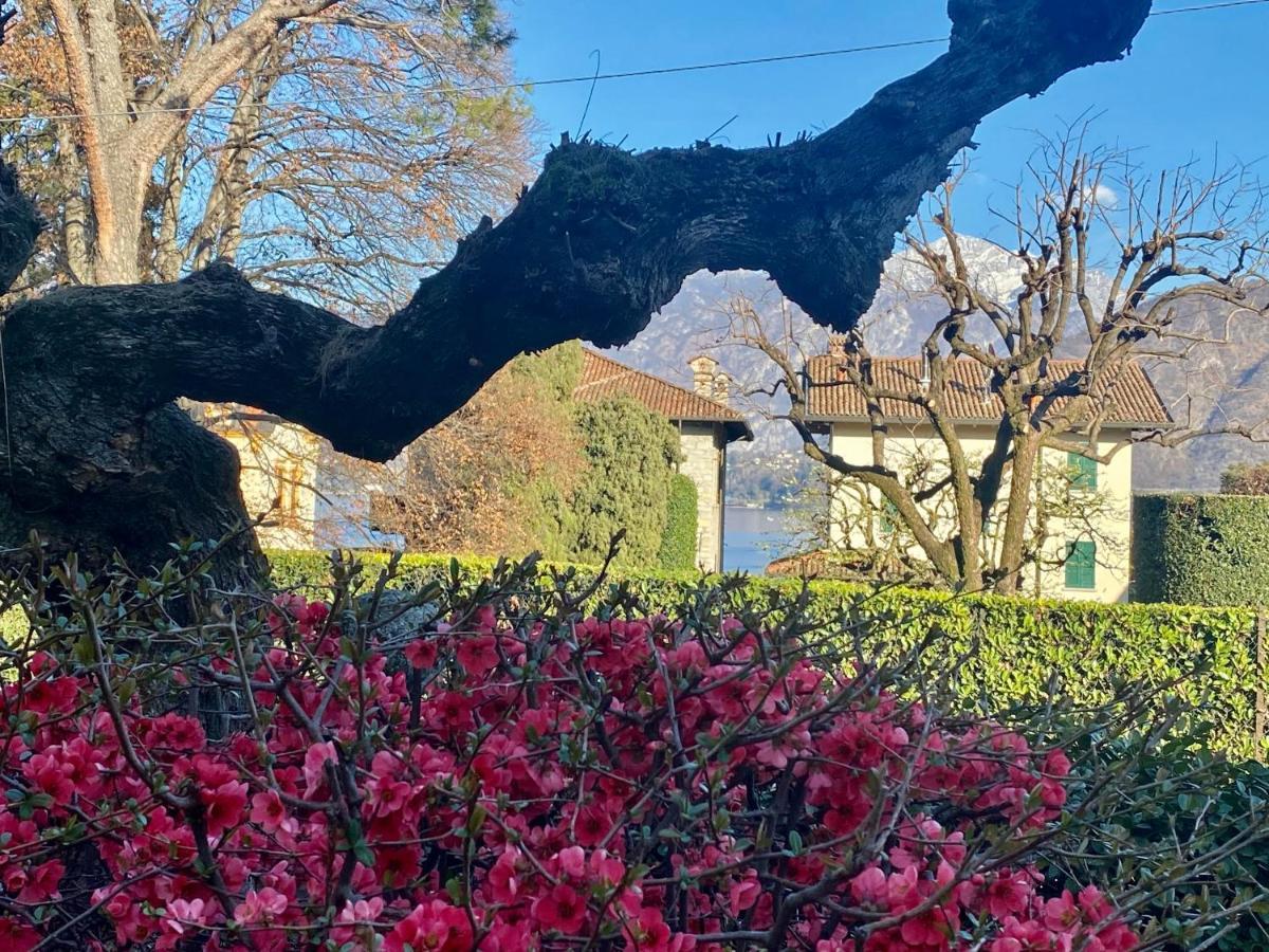 Villa Magnolia - Lake Como Lenno Buitenkant foto