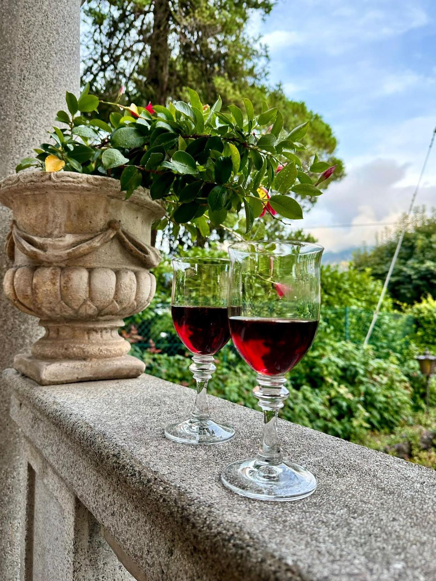 Villa Magnolia - Lake Como Lenno Buitenkant foto